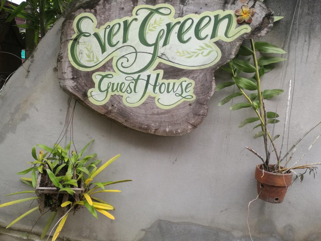 Ever Green Guest House - Sha Plus Pai Exteriér fotografie